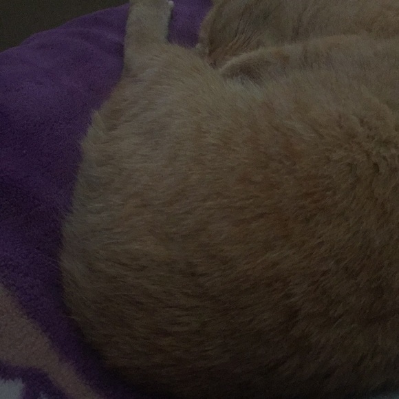 Meet your Posher, Ruth - Picture 1 of 1